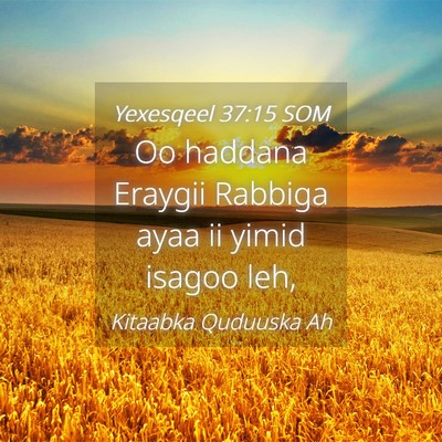 Picture 04 - Yexesqeel 37:15 SOM - Oo haddana Eraygii Rabbiga ayaa ii yimid isagoo - Bible Verse Picture