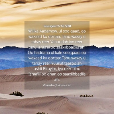 Picture 04 - Yexesqeel 37:16 SOM - Wiilka Aadamow, ul soo qaad, oo waxaad ku qortaa: - Bible Verse Picture