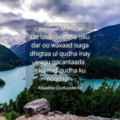 Picture 04 - Yexesqeel 37:17 SOM - Oo labadoodaba isku dar oo waxaad isaga dhigtaa - Bible Verse Picture