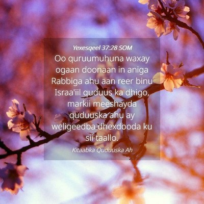 Picture 04 - Yexesqeel 37:28 SOM - Oo quruumuhuna waxay ogaan doonaan in aniga - Bible Verse Picture