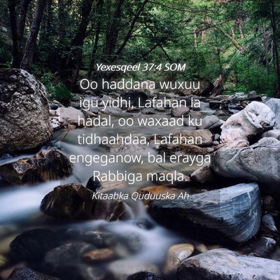 Picture 04 - Yexesqeel 37:4 SOM - Oo haddana wuxuu igu yidhi, Lafahan la hadal, oo - Bible Verse Picture