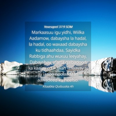 Picture 04 - Yexesqeel 37:9 SOM - Markaasuu igu yidhi, Wiilka Aadamow, dabaysha la - Bible Verse Picture