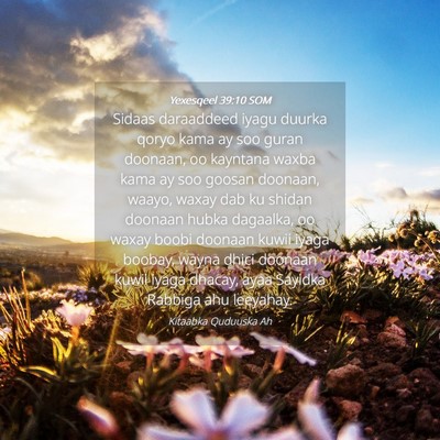Picture 04 - Yexesqeel 39:10 SOM - Sidaas daraaddeed iyagu duurka qoryo kama ay soo - Bible Verse Picture