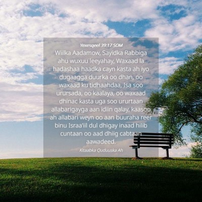 Picture 04 - Yexesqeel 39:17 SOM - Wiilka Aadamow, Sayidka Rabbiga ahu wuxuu - Bible Verse Picture