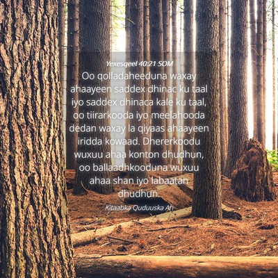 Picture 04 - Yexesqeel 40:21 SOM - Oo qolladaheeduna waxay ahaayeen saddex dhinac ku - Bible Verse Picture