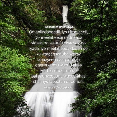 Picture 04 - Yexesqeel 40:29 SOM - Oo qolladaheedii, iyo tiirarkeedii, iyo - Bible Verse Picture