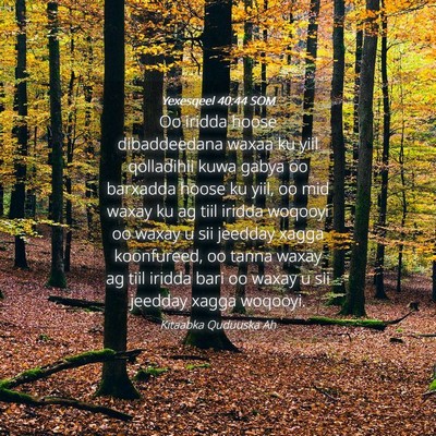 Picture 04 - Yexesqeel 40:44 SOM - Oo iridda hoose dibaddeedana waxaa ku yiil - Bible Verse Picture