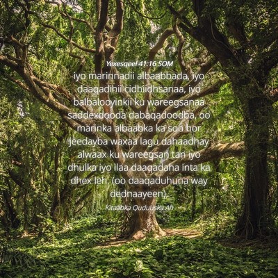 Picture 04 - Yexesqeel 41:16 SOM - iyo marinnadii albaabbada, iyo daaqadihii - Bible Verse Picture