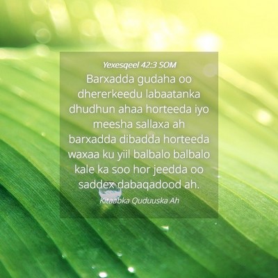 Picture 04 - Yexesqeel 42:3 SOM - Barxadda gudaha oo dhererkeedu labaatanka dhudhun - Bible Verse Picture