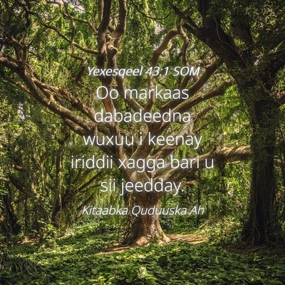 Picture 04 - Yexesqeel 43:1 SOM - Oo markaas dabadeedna wuxuu i keenay iriddii - Bible Verse Picture