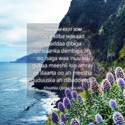 Picture 04 - Yexesqeel 43:21 SOM - Oo weliba waxaad qaaddaa dibiga qurbaanka dembiga - Bible Verse Picture
