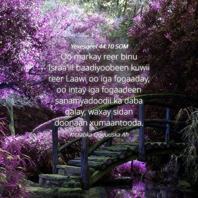 Picture 04 - Yexesqeel 44:10 SOM - Oo markay reer binu Israa'iil baadiyoobeen kuwii - Bible Verse Picture