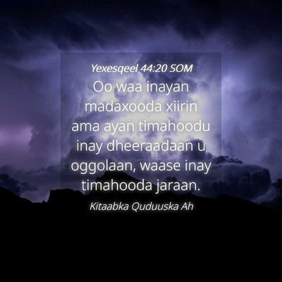 Picture 04 - Yexesqeel 44:20 SOM - Oo waa inayan madaxooda xiirin ama ayan timahoodu - Bible Verse Picture
