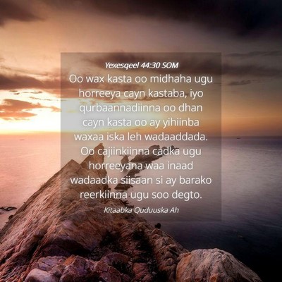 Picture 04 - Yexesqeel 44:30 SOM - Oo wax kasta oo midhaha ugu horreeya cayn - Bible Verse Picture
