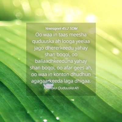 Picture 04 - Yexesqeel 45:2 SOM - Oo waa in taas meesha quduuska ah looga yeelaa - Bible Verse Picture