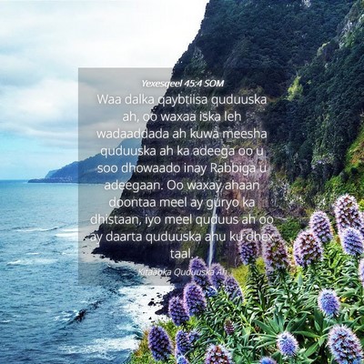 Picture 04 - Yexesqeel 45:4 SOM - Waa dalka qaybtiisa quduuska ah, oo waxaa iska - Bible Verse Picture
