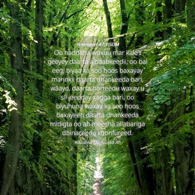 Picture 04 - Yexesqeel 47:1 SOM - Oo haddana wuxuu mar kale i geeyey daarta - Bible Verse Picture