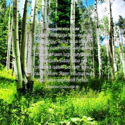 Picture 04 - Yexesqeel 47:13 SOM - Sayidka Rabbiga ahu wuxuu leeyahay, Tanu waa inay - Bible Verse Picture