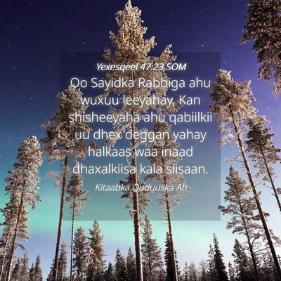 Picture 04 - Yexesqeel 47:23 SOM - Oo Sayidka Rabbiga ahu wuxuu leeyahay, Kan - Bible Verse Picture