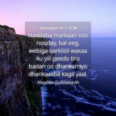 Picture 04 - Yexesqeel 47:7 SOM - Haddaba markaan soo noqday, bal eeg, webiga - Bible Verse Picture