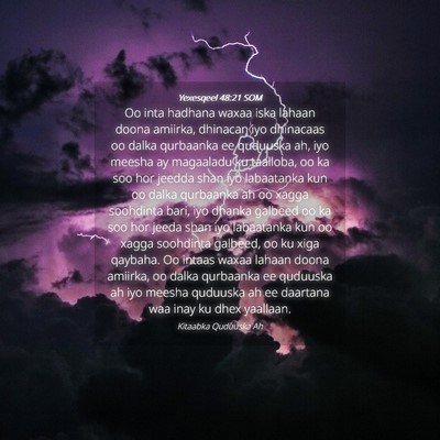 Picture 04 - Yexesqeel 48:21 SOM - Oo inta hadhana waxaa iska lahaan doona amiirka, - Bible Verse Picture