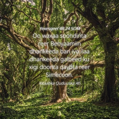 Picture 04 - Yexesqeel 48:24 SOM - Oo waxaa soohdinta reer Benyaamiin dhankeeda bari - Bible Verse Picture