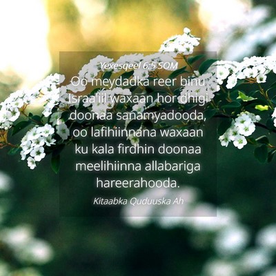 Picture 04 - Yexesqeel 6:5 SOM - Oo meydadka reer binu Israa'iil waxaan hor dhigi - Bible Verse Picture