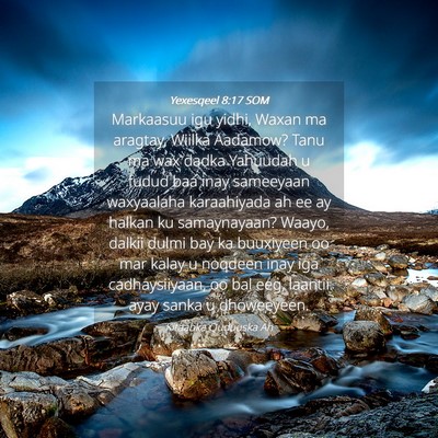 Picture 04 - Yexesqeel 8:17 SOM - Markaasuu igu yidhi, Waxan ma aragtay, Wiilka - Bible Verse Picture
