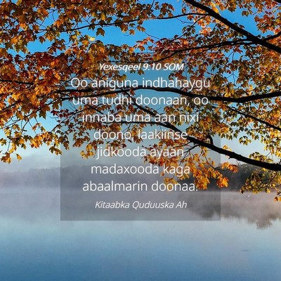 Picture 04 - Yexesqeel 9:10 SOM - Oo aniguna indhahaygu uma tudhi doonaan, oo - Bible Verse Picture