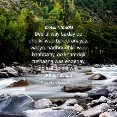 Picture 04 - Yoo'eel 1:10 SOM - Beertii way ba'day oo dhulkii wuu barooranayaa, - Bible Verse Picture