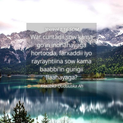 Picture 04 - Yoo'eel 1:16 SOM - War cuntadii sow kama go'in indhahayaga hortooda, - Bible Verse Picture