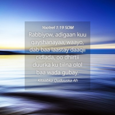 Picture 04 - Yoo'eel 1:19 SOM - Rabbiyow, adigaan kuu qayshanayaa, waayo, dab baa - Bible Verse Picture