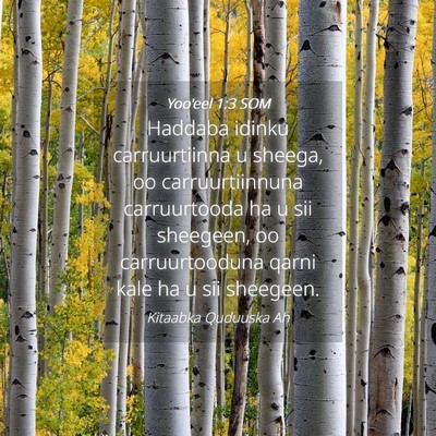 Picture 04 - Yoo'eel 1:3 SOM - Haddaba idinku carruurtiinna u sheega, oo - Bible Verse Picture