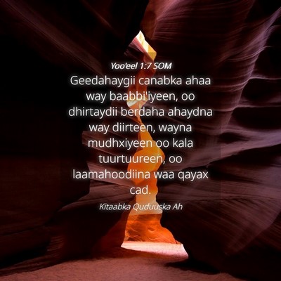 Picture 04 - Yoo'eel 1:7 SOM - Geedahaygii canabka ahaa way baabbi'iyeen, oo - Bible Verse Picture