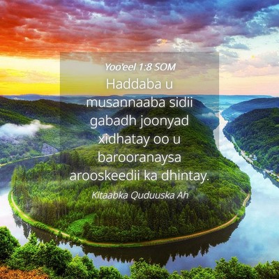 Picture 04 - Yoo'eel 1:8 SOM - Haddaba u musannaaba sidii gabadh joonyad - Bible Verse Picture