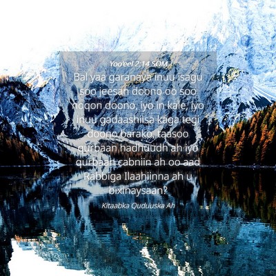 Picture 04 - Yoo'eel 2:14 SOM - Bal yaa garanaya inuu isagu soo jeesan doono oo - Bible Verse Picture