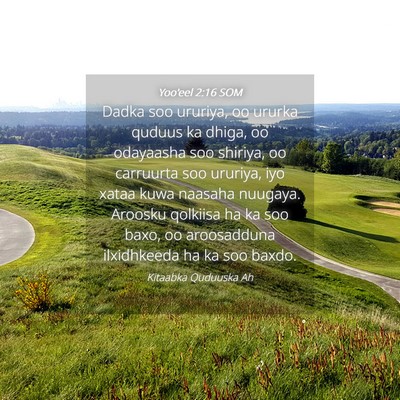 Picture 04 - Yoo'eel 2:16 SOM - Dadka soo ururiya, oo ururka quduus ka dhiga, oo - Bible Verse Picture