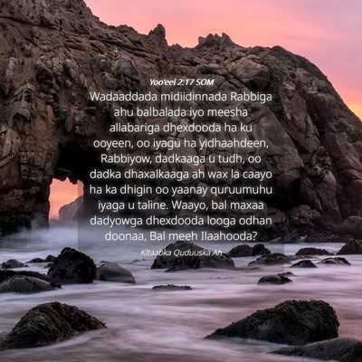 Picture 04 - Yoo'eel 2:17 SOM - Wadaaddada midiidinnada Rabbiga ahu balbalada iyo - Bible Verse Picture