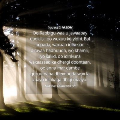 Picture 04 - Yoo'eel 2:19 SOM - Oo Rabbigu waa u jawaabay dadkiisii oo wuxuu ku - Bible Verse Picture