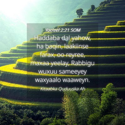 Picture 04 - Yoo'eel 2:21 SOM - Haddaba dal yahow, ha baqin, laakiinse farax, oo - Bible Verse Picture