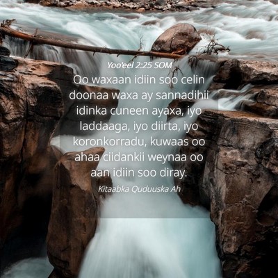 Picture 04 - Yoo'eel 2:25 SOM - Oo waxaan idiin soo celin doonaa waxa ay - Bible Verse Picture