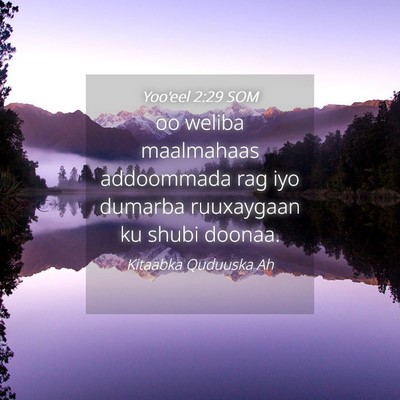 Picture 04 - Yoo'eel 2:29 SOM - oo weliba maalmahaas addoommada rag iyo dumarba - Bible Verse Picture