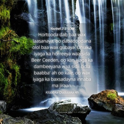 Picture 04 - Yoo'eel 2:3 SOM - Hortooda dab baa wax laasanaya, oo dabadoodana - Bible Verse Picture