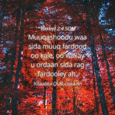 Picture 04 - Yoo'eel 2:4 SOM - Muuqashoodu waa sida muuq fardood oo kale, oo - Bible Verse Picture