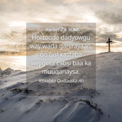 Picture 04 - Yoo'eel 2:6 SOM - Hortooda dadyowgu way wada gariirayaan, oo qof - Bible Verse Picture