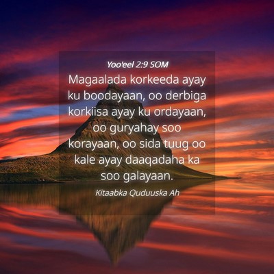 Picture 04 - Yoo'eel 2:9 SOM - Magaalada korkeeda ayay ku boodayaan, oo derbiga - Bible Verse Picture