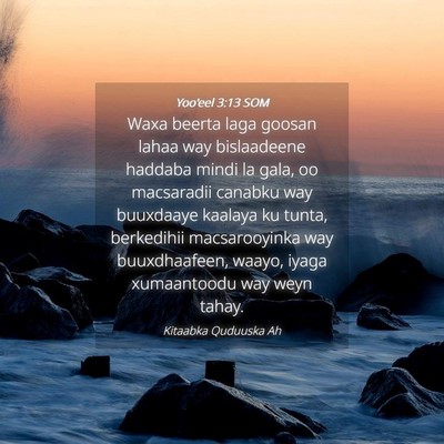 Picture 04 - Yoo'eel 3:13 SOM - Waxa beerta laga goosan lahaa way bislaadeene - Bible Verse Picture