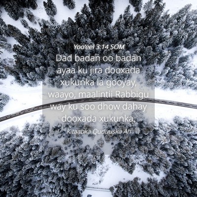 Picture 04 - Yoo'eel 3:14 SOM - Dad badan oo badan ayaa ku jira dooxada xukunka - Bible Verse Picture