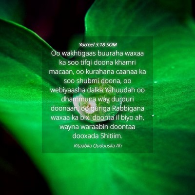Picture 04 - Yoo'eel 3:18 SOM - Oo wakhtigaas buuraha waxaa ka soo tifqi doona - Bible Verse Picture