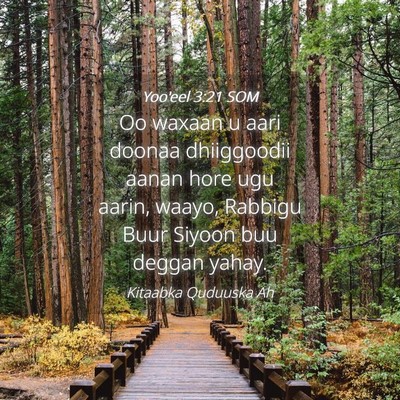 Picture 04 - Yoo'eel 3:21 SOM - Oo waxaan u aari doonaa dhiiggoodii aanan hore - Bible Verse Picture